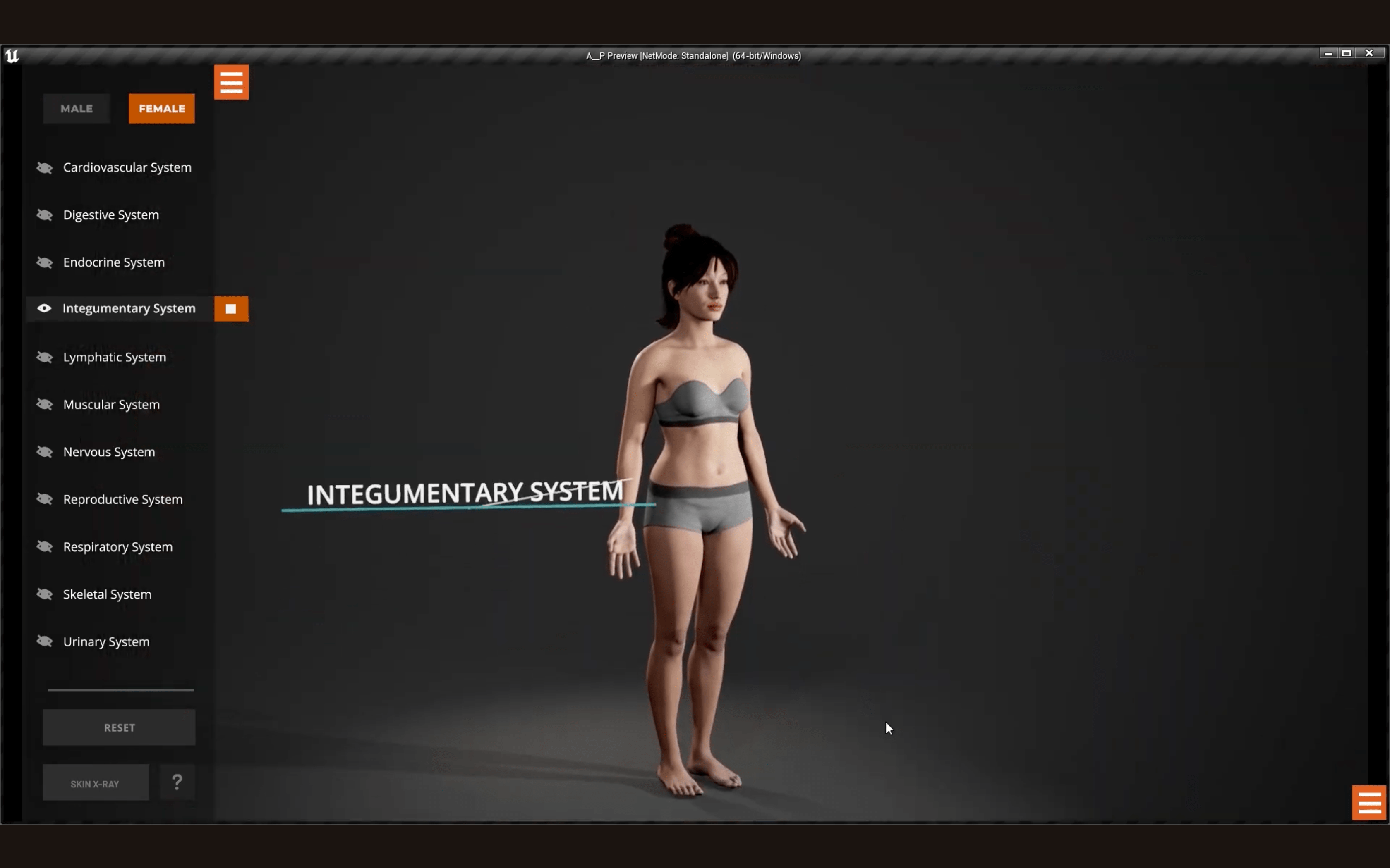 Interactive Human Anatomy | Touchscreen EdTech Visualization in Unreal Engine + MetaHuman